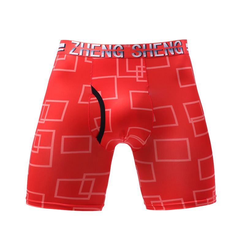 Ropa interior para hombre, Box - Long Leg Trunk Men reseña y precio